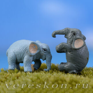 Слоны (пара)