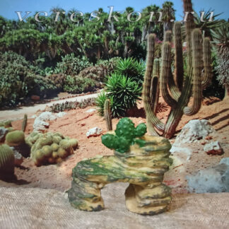 Каменная арка с кактусом