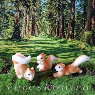 Белки, жёлуди