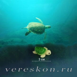 Морская черепаха