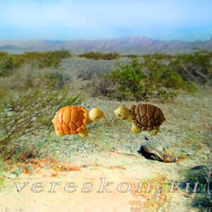 Черепашки (за 1 шт.)