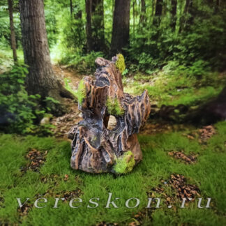 Старое дупло