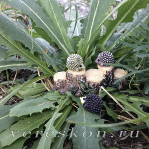 Ёжики (за 3 шт.)