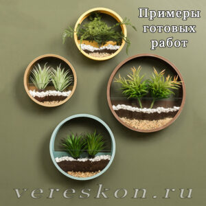 Настенная форма для флорариума, моссариума и т.д.