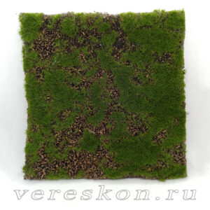 Газон «лесная подстилка»