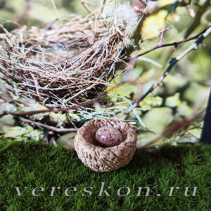 Птичье гнездо с яйцом