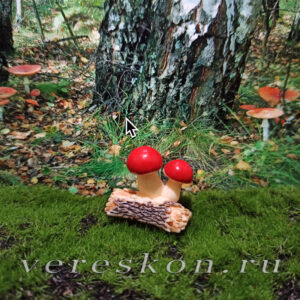 Грибы на брёвнышке