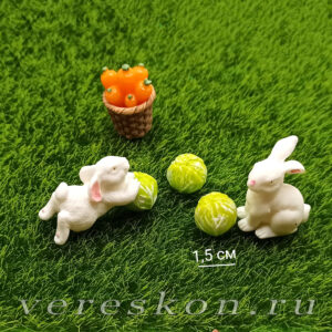 Небольшой кочан капусты, морковки, корзинка