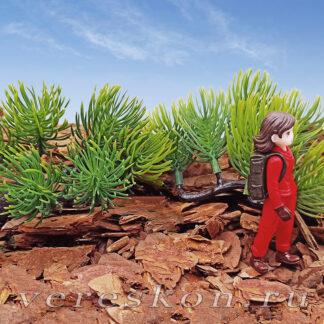 Кедровый стланик