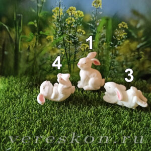 Кролики играющие