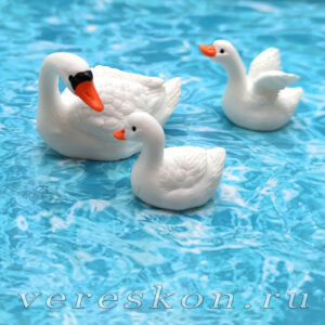 Лебедь и подросшие лебедята