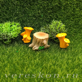 Грибы лисички