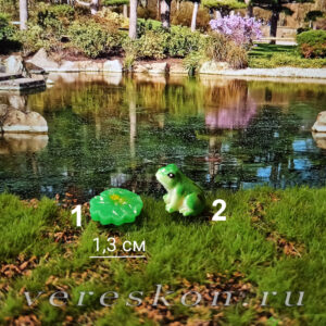 Лягушка, маленький листик