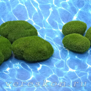 Моховой камень