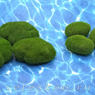 Моховой камень