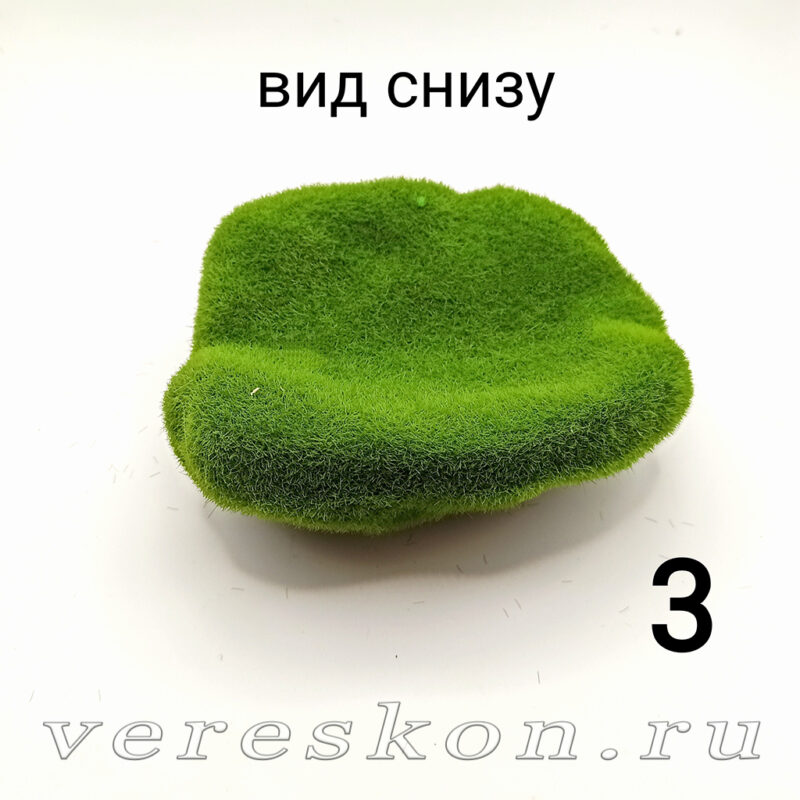 Моховой камень — изображение 4