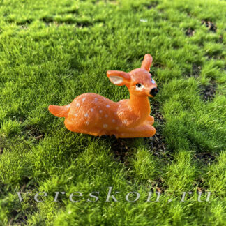 Оленёнок отдыхающий