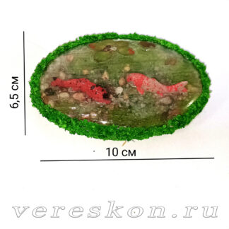 Прудик с рыбками кои