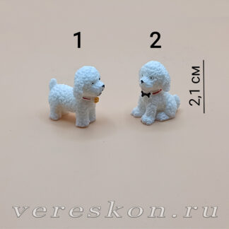 Собака пудель