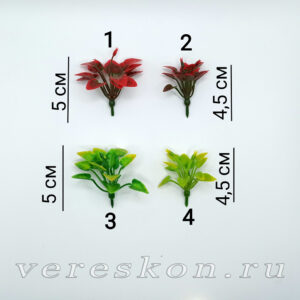 Растеньице