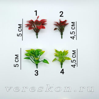 Растеньице