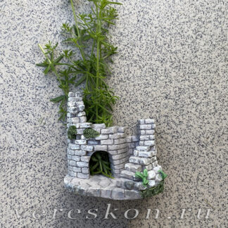 «Графские развалины»