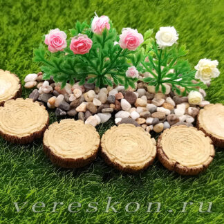 Элементы дорожек, ступенек, розовые кусты