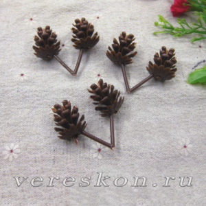 Шишки (за соединённую пару)