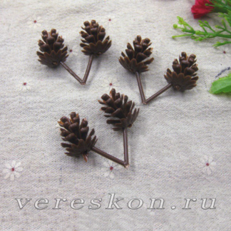 Шишки (за соединённую пару)