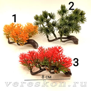 Стелющийся кустарник