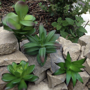 Иск. суккулент (за 1 шт.)