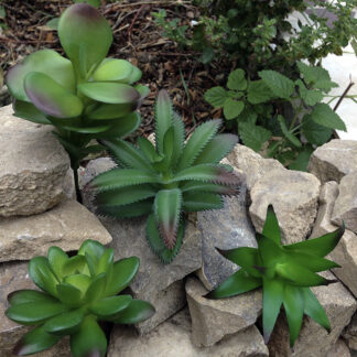 Иск. суккулент (за 1 шт.)