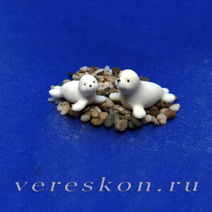 Тюлени-дети