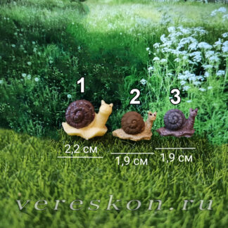 Улитки (за 1 шт.)