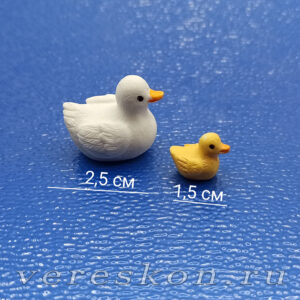 Утка белая, утёнок