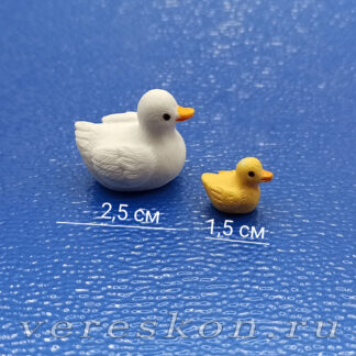 Утка белая, утёнок