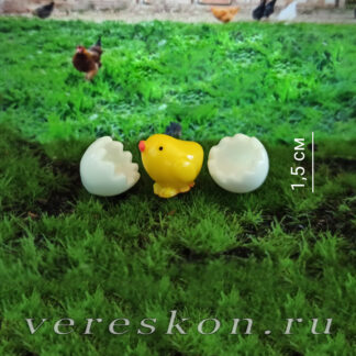 Вылупившийся цыплёнок