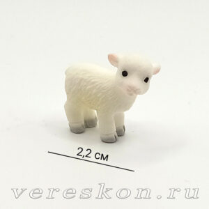 Ягнёнок маленький