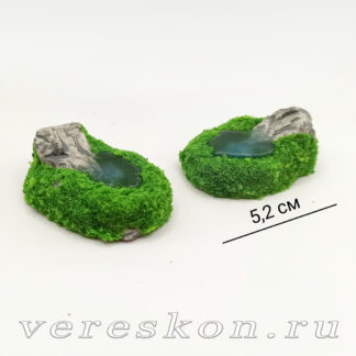 Заросший родник (за 1 шт.)