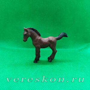Жеребёнок