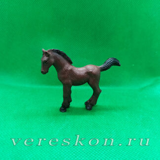 Жеребёнок