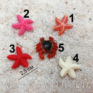 Морская звезда, краб